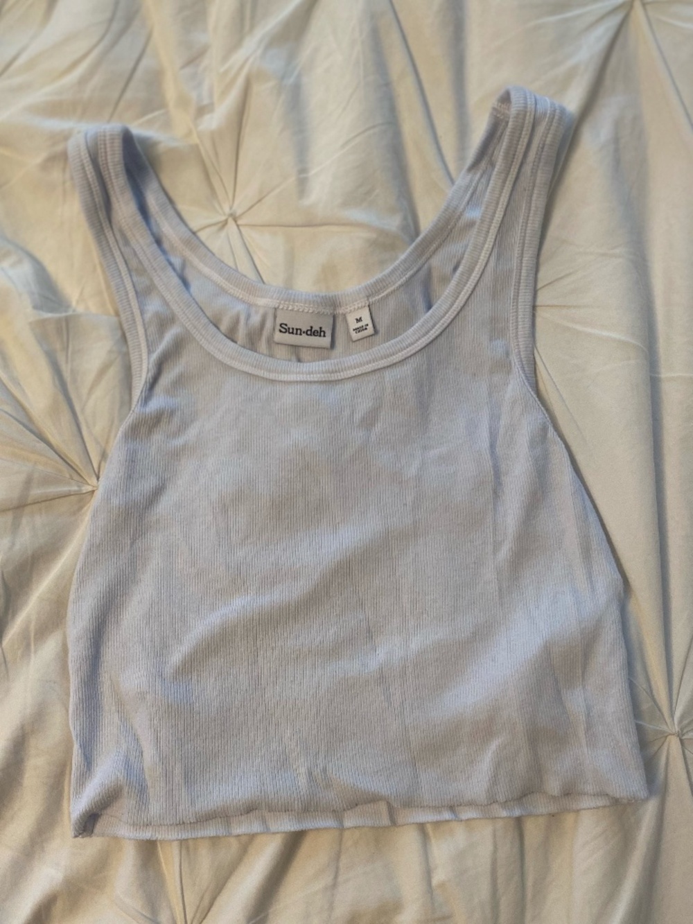 Aritzia Sun-Deh Tank Top